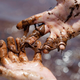 Illustration for article titled The Worst Oil Disaster in US History: How You Can Help